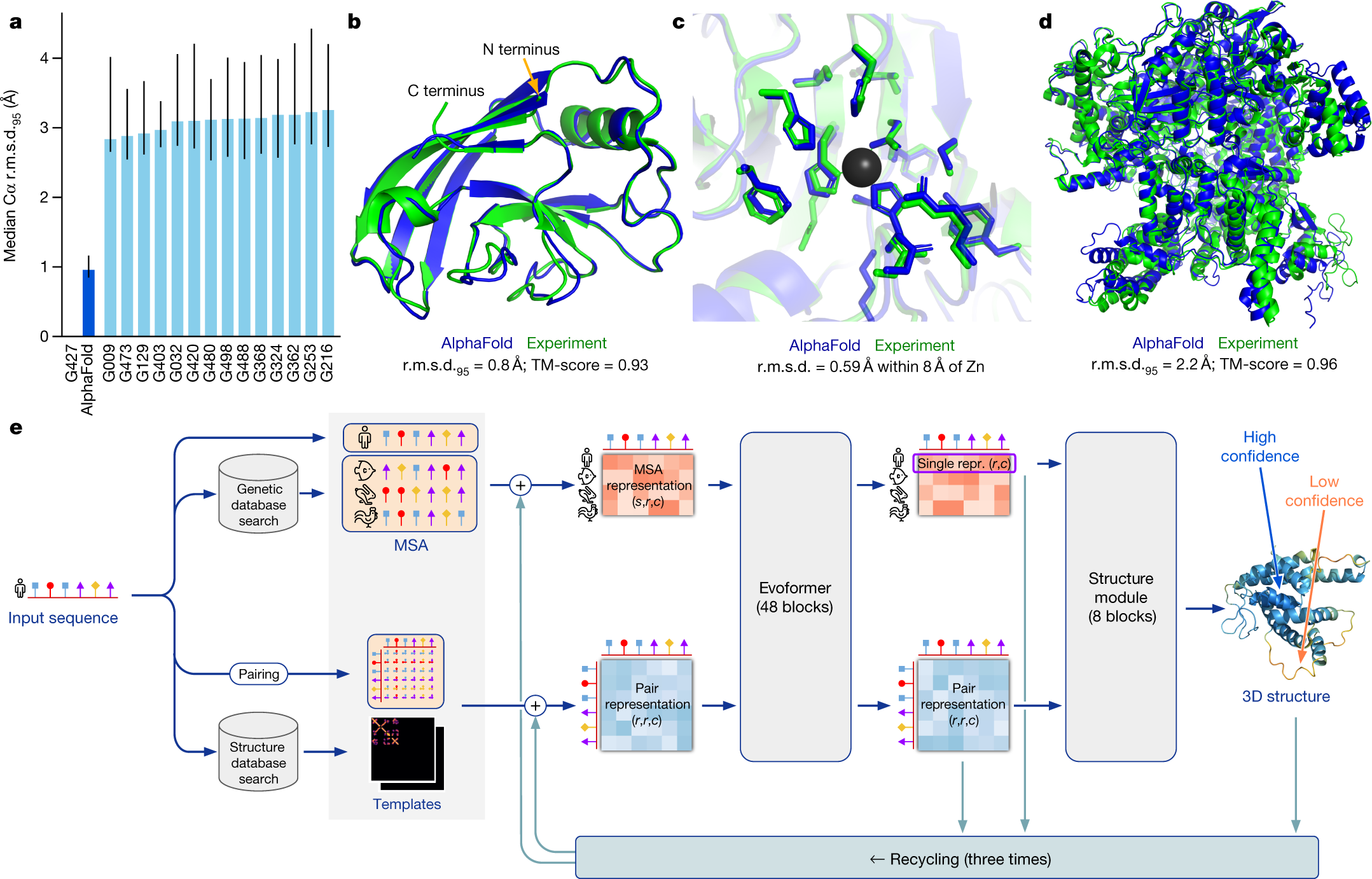 Geometric Refinement and the Evoformer Module Diagram - The AlphaFold 2 architecture illustrating the end-to-end differentiable pipeline from sequence alignment to 3D coordinate prediction.