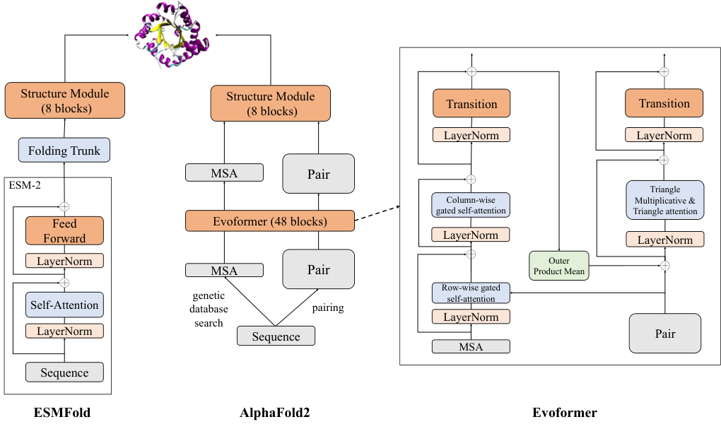 ESM-2: Language Models for Atomic Protein Structure - Research Breakthrough Illustration